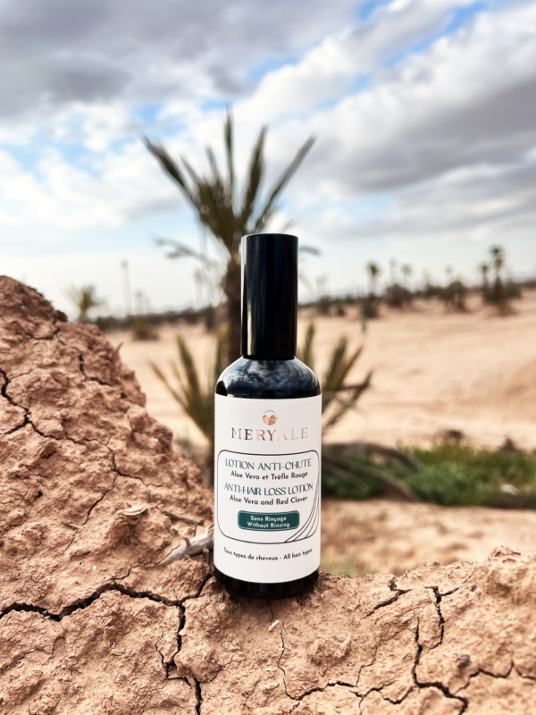 Lotion Anti Chute Sans Rinçage 100ml – Image 4